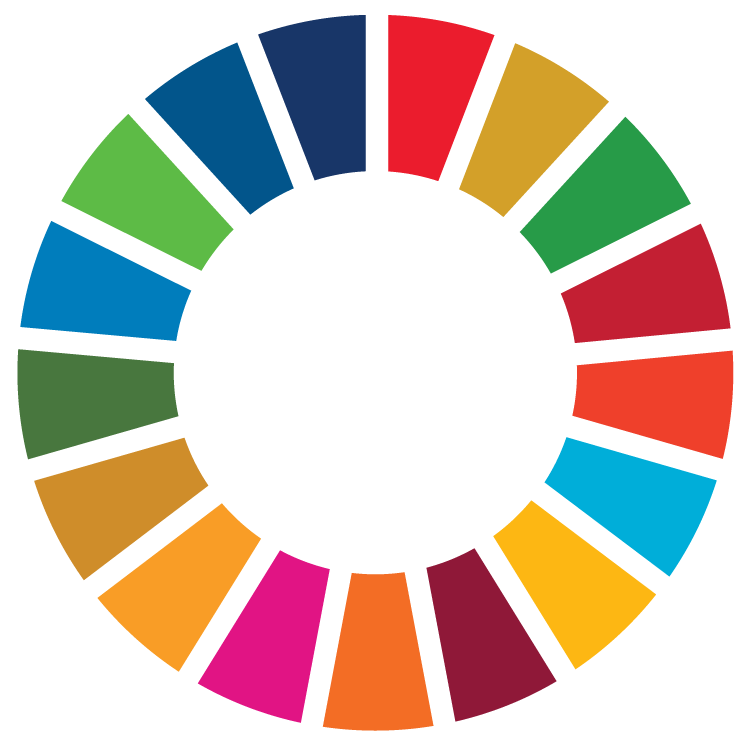 SDG Wheel Transparent WEB